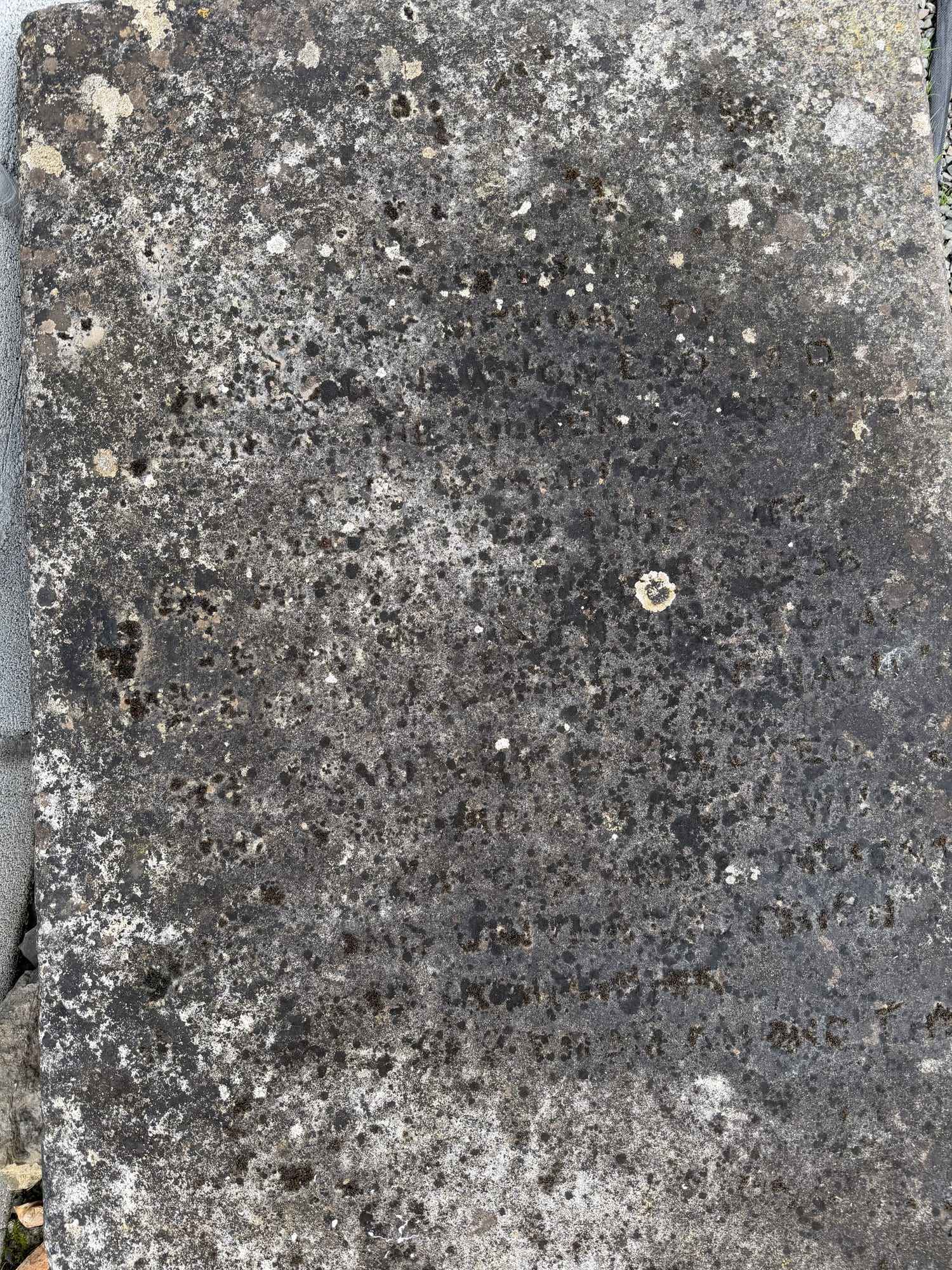 Headstone of James C. Newton