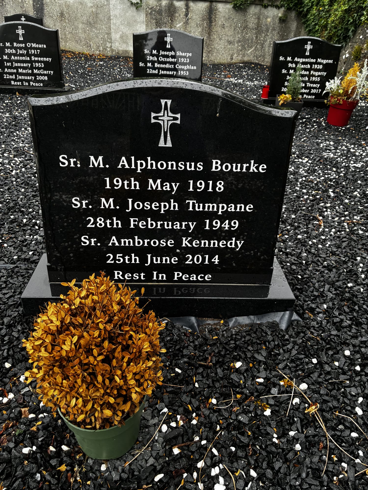 Headstone of Sister M. Alphonsus Bourke